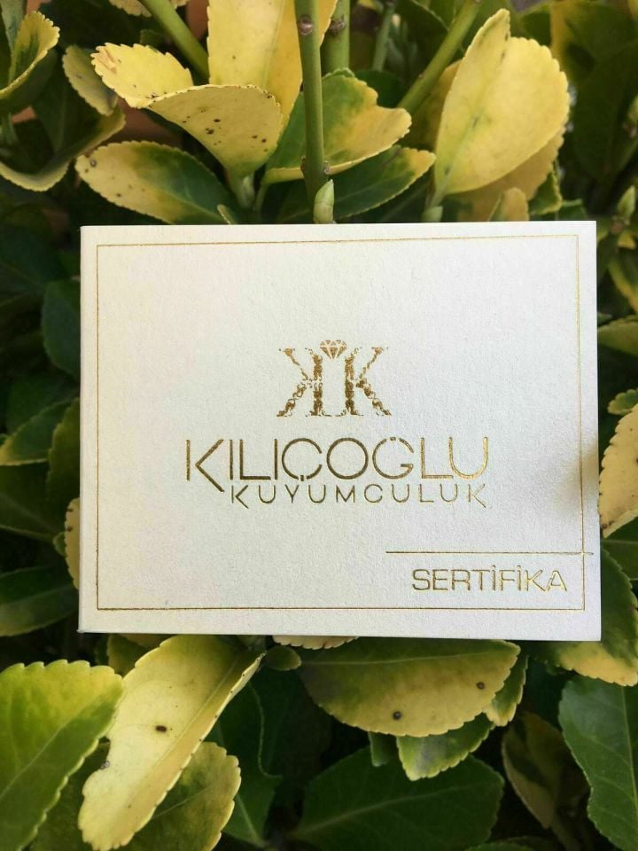 14 Ayar Güneş Altın Sallantılı Küpe